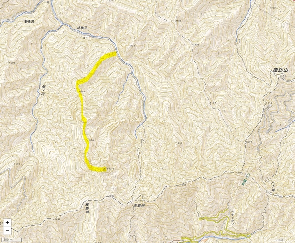 大ナゲシ北稜の地図・マップ